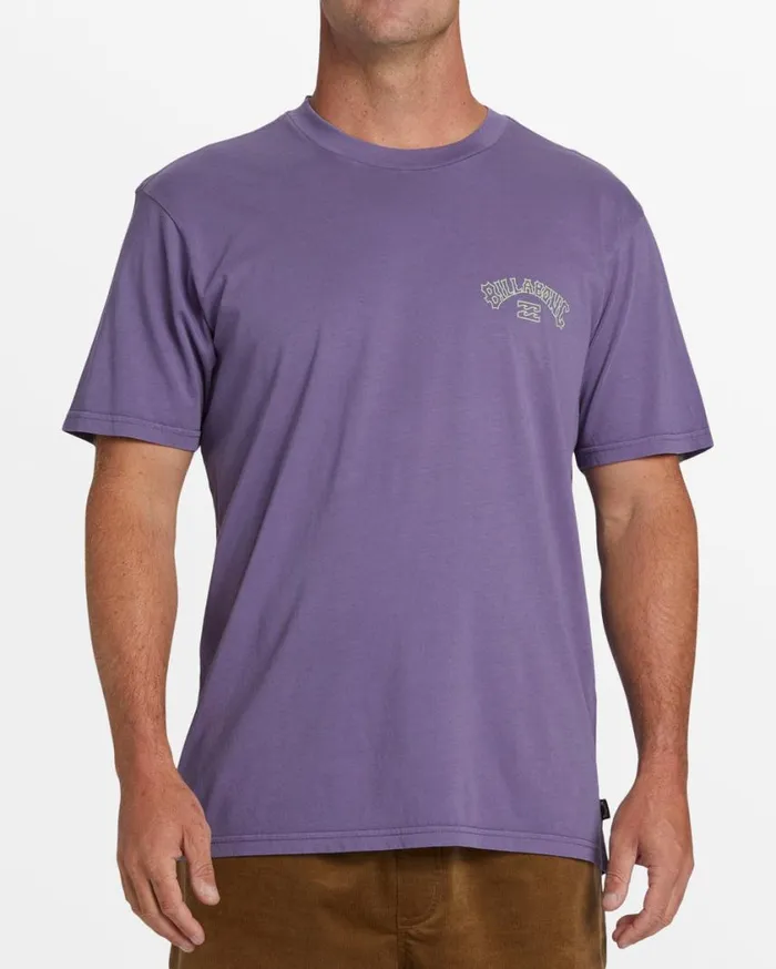 Billabong Arch Wash TShirt Deep Plum Mens TShirts