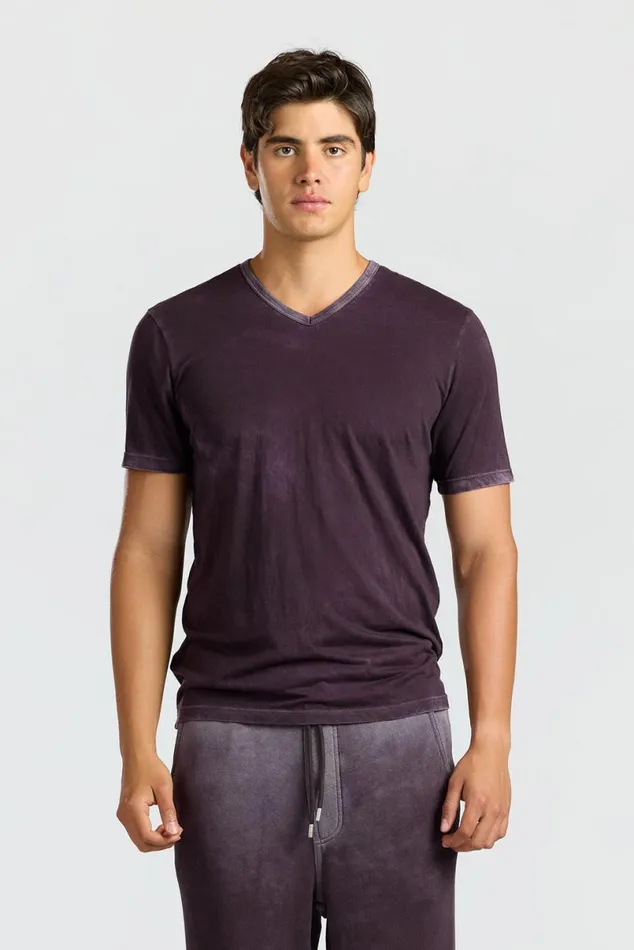 COTTON CITIZEN Classic VNeck Tee Vintage Eggplant Men Tees