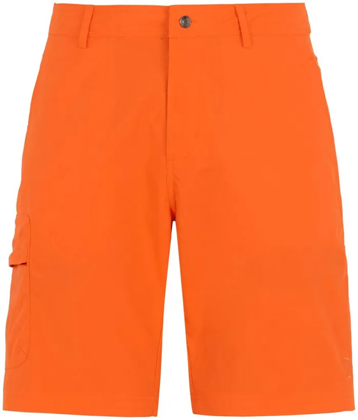 Dave Shorts Flame Men Didriksons Shorts