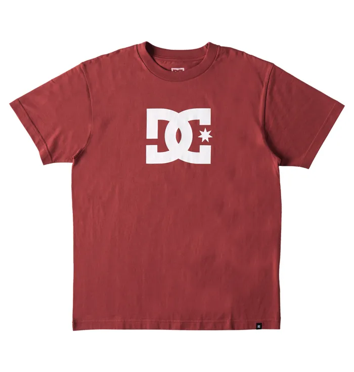 Men DC Shoes DC Star TShirt red earth TShirts