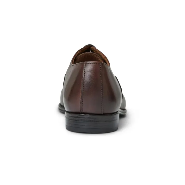Men Laceups and Oxfords Bruno Magli ADRIANOBROWN