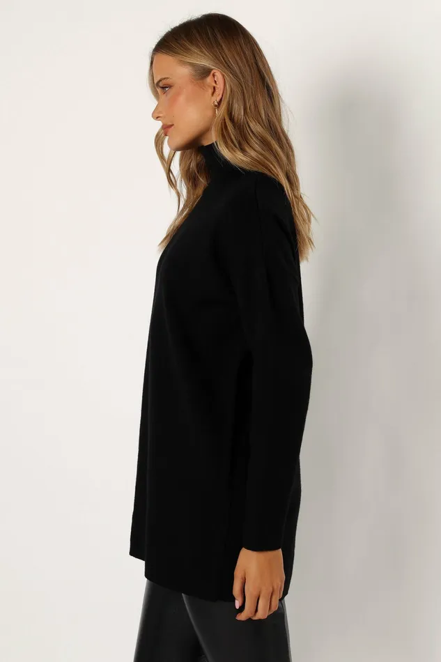 Nico Turtleneck Mini Dress Black Long Sleeve Dresses Petal and Pup Women