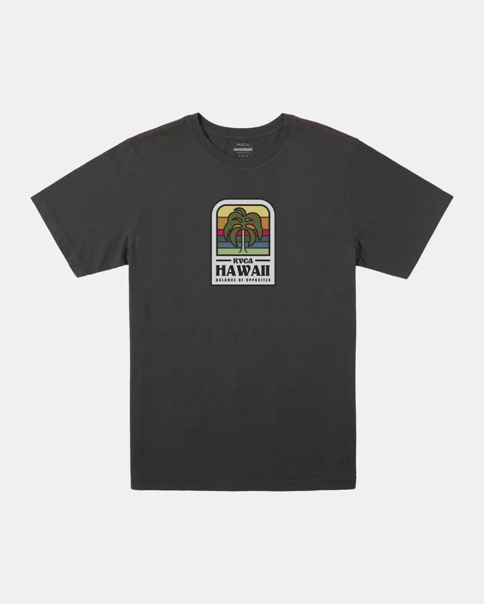 RVCA Short Sleeves Hawaii Island Flora Tee Pirate Black 8211 Men