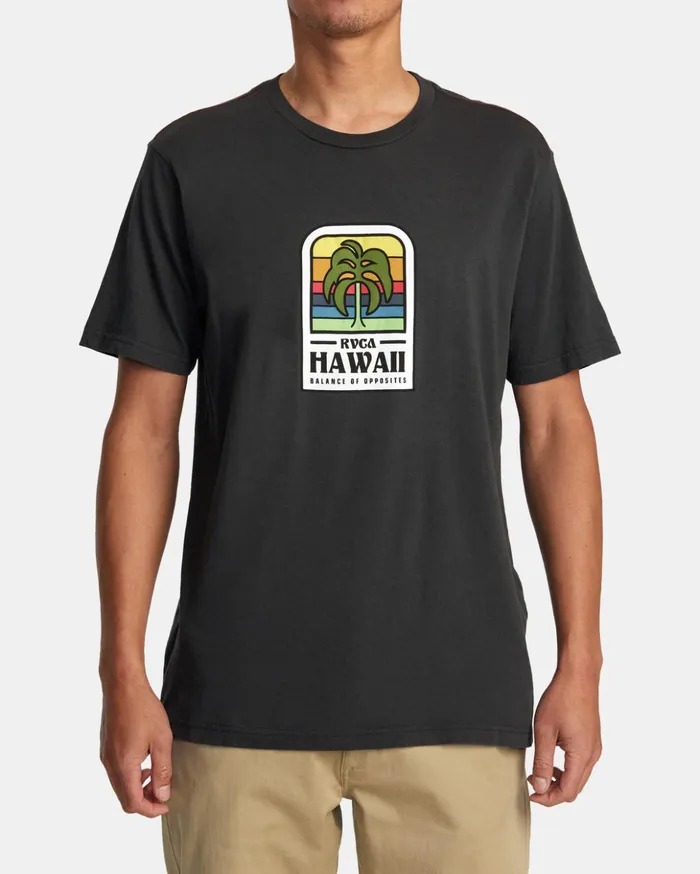 RVCA Short Sleeves Hawaii Island Flora Tee Pirate Black 8211 Men
