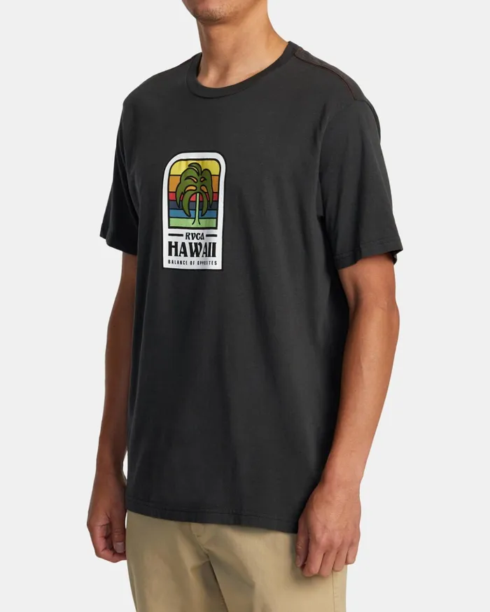 RVCA Short Sleeves Hawaii Island Flora Tee Pirate Black 8211 Men