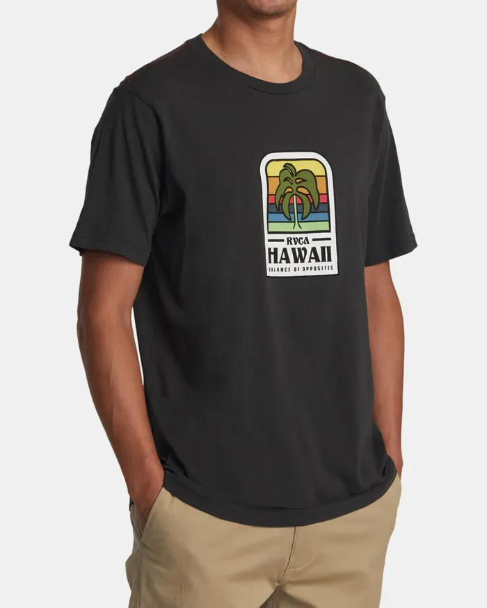RVCA Short Sleeves Hawaii Island Flora Tee Pirate Black 8211 Men