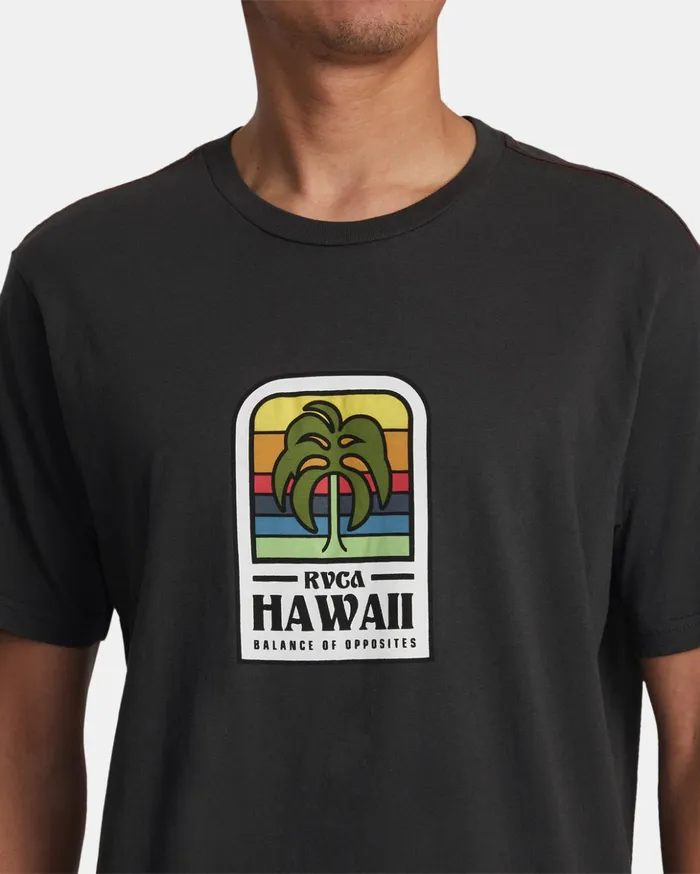 RVCA Short Sleeves Hawaii Island Flora Tee Pirate Black 8211 Men