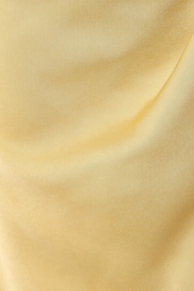 Satin Dresses Petal and Pup Women Sonny One Shoulder Midi Dress Mustard