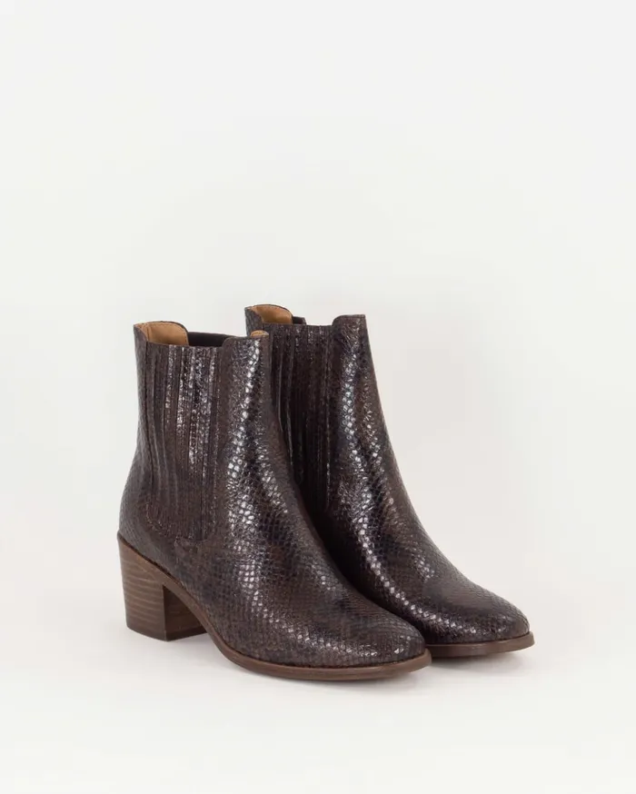 Sessn Womens Shoes Sanrisa Choco python Popular