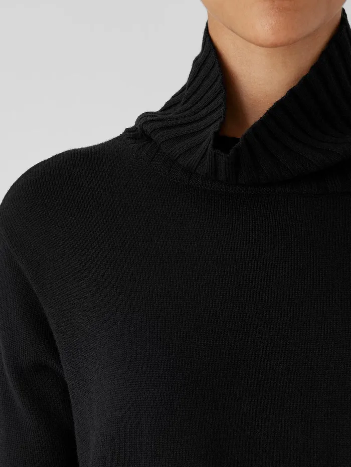 Sweaters and Cardigans Women Eileen Fisher Merino Jersey Turtleneck In Regenerative Wool Black