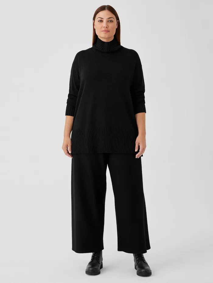 Sweaters and Cardigans Women Eileen Fisher Merino Jersey Turtleneck In Regenerative Wool Black