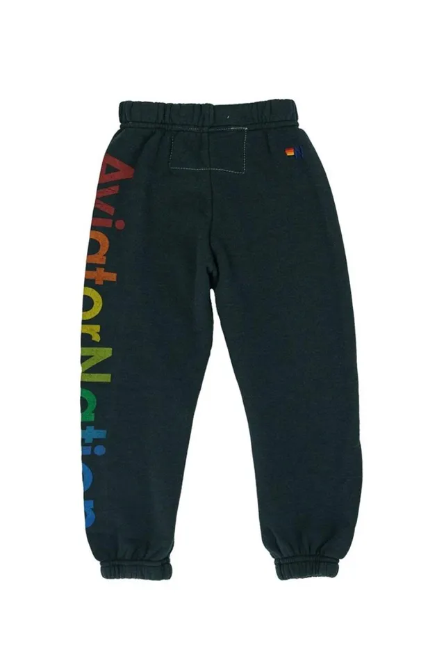 Sweatpants 8211 Charcoal Kids Aviator Nation Sweatpants