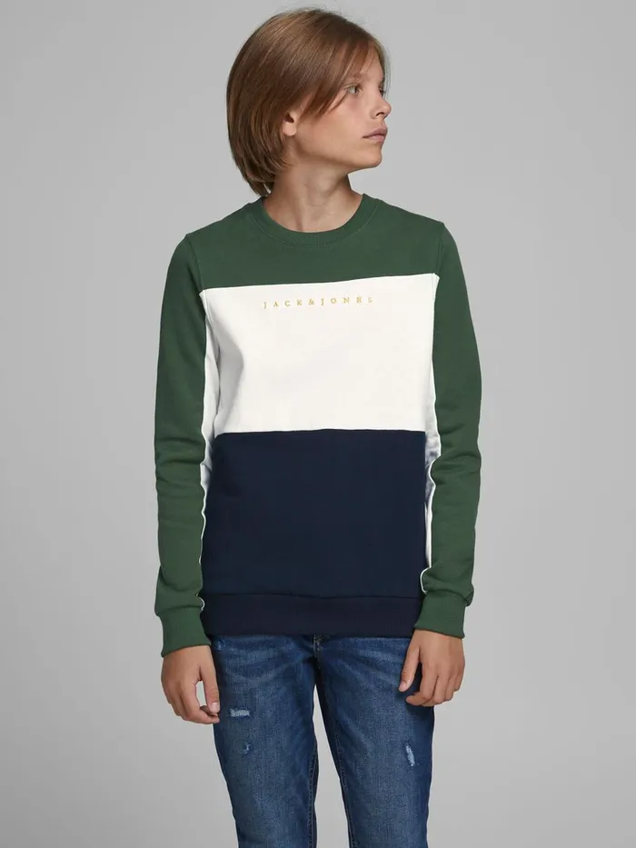 Sweatshirts JACK and JONES Junior BOYS COLOUR BLOCK SWEATSHIRT Green Trekking Green On Sale Sweatshirts JACK and JONES Junior BOYS COLOUR BLOCK SWEATSHIRT Green Trekking Green On Sale