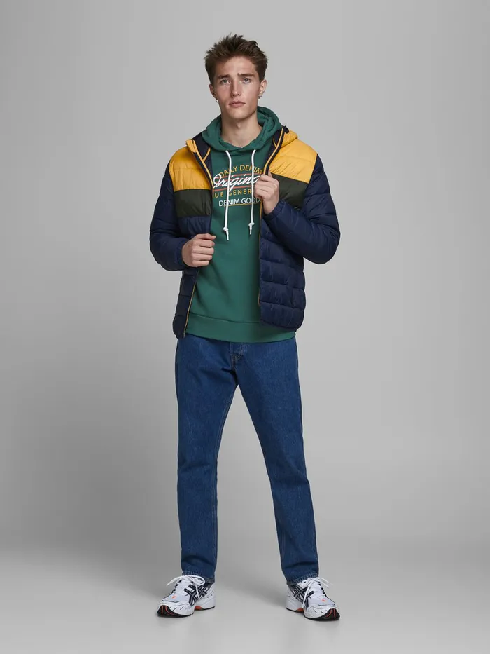 Sweatshirts JACK and JONES Mens LOGO HOODIE Green Trekking Green Online
