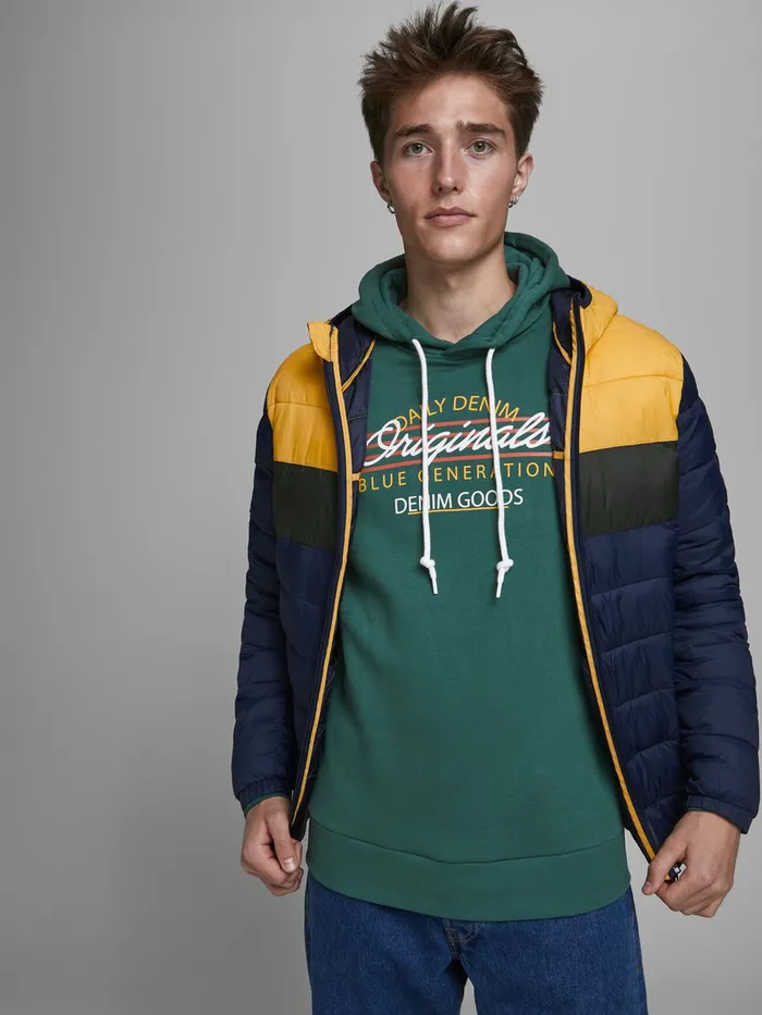 Sweatshirts JACK and JONES Mens LOGO HOODIE Green Trekking Green Online
