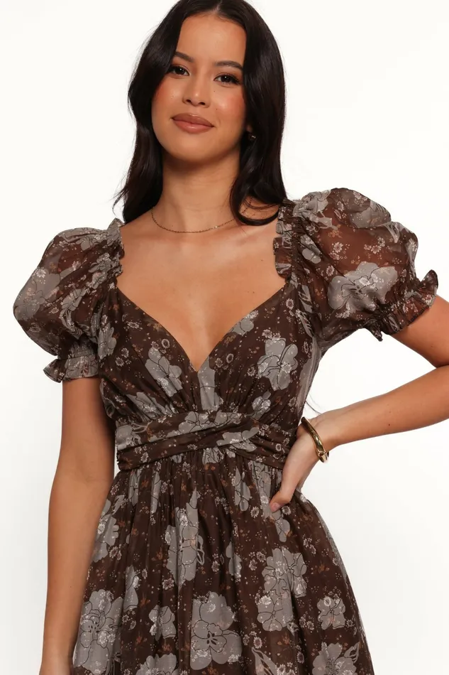 Women Fall Dresses Petal and Pup Farryn Maxi Dress BrownGrey