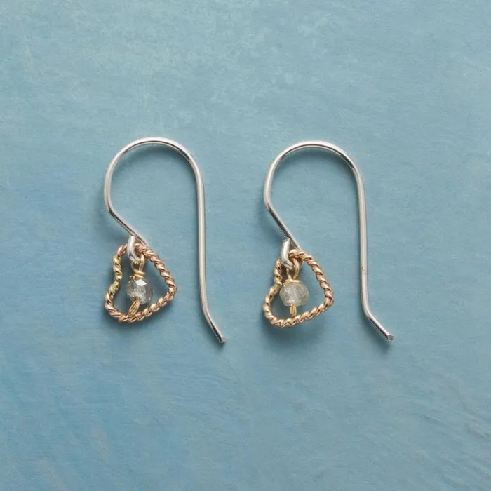 Women Surrounded By Love Earrings Sundance Catalog Earrings