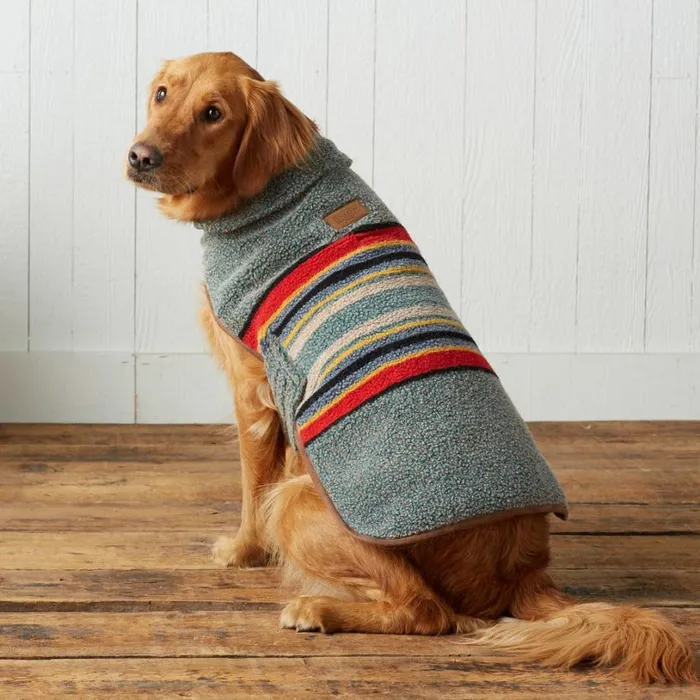 Women Yakima Dog Coat Heather Green Sundance Catalog Decor